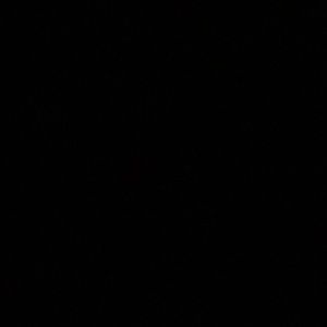 Meet your Posher, Jaime